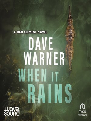 cover image of When It Rains