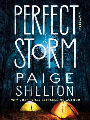 cover image of Perfect Storm