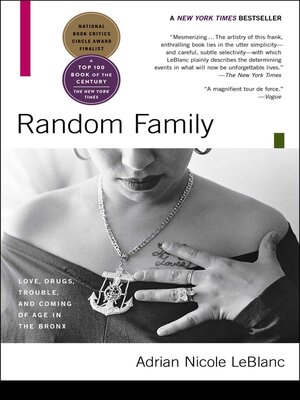 cover image of Random Family