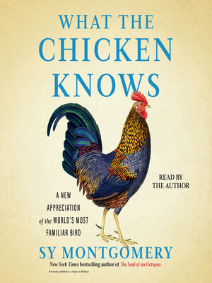 cover image of What the Chicken Knows