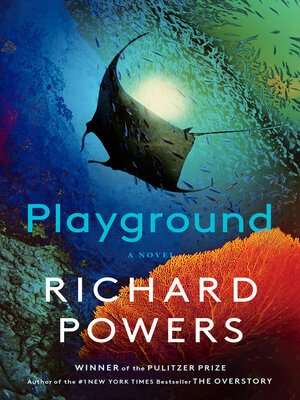 cover image of Playground