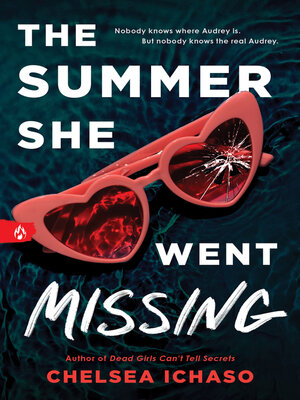 cover image of The Summer She Went Missing